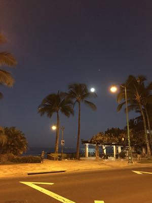 e0069433_663190.jpg