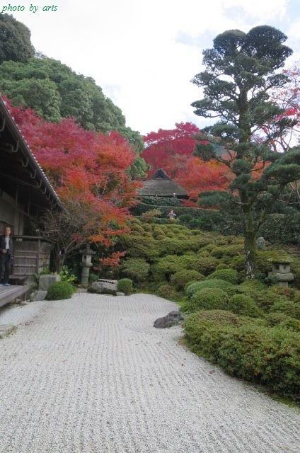 京都の紅葉２０１４＠金福寺♪_f0295238_18283265.jpg