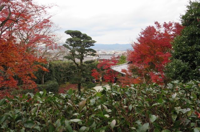 京都の紅葉２０１４＠金福寺♪_f0295238_19160972.jpg