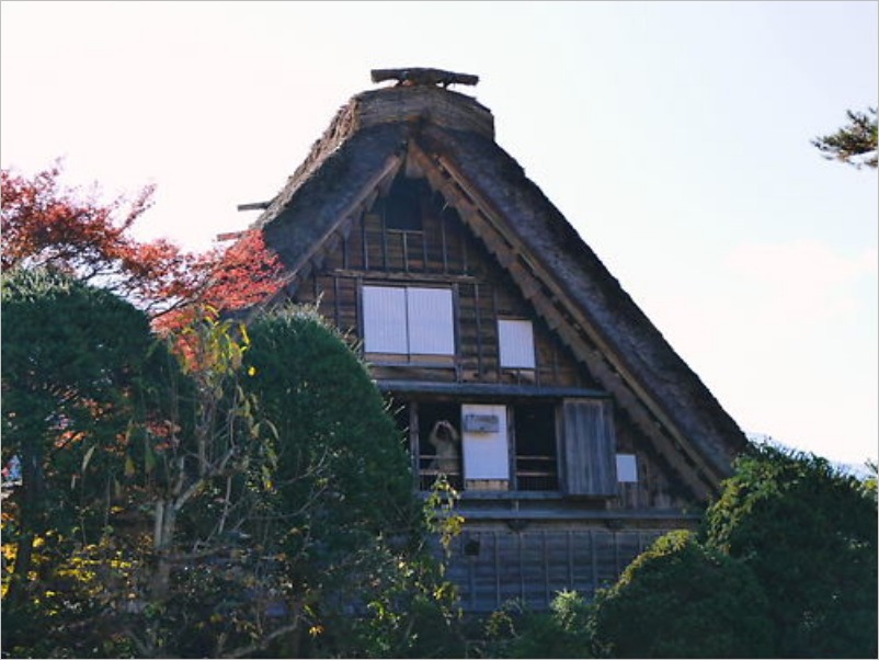 e0022839_194251.jpg