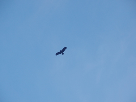 a0014840_22184849.jpg