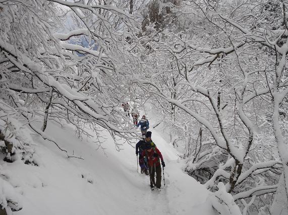 この冬初の雪山へ・・・英彦山・四王寺の滝_e0164643_13573074.jpg