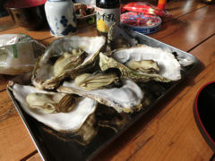尾鷲「研修」ツアー2日目・牡蠣!_f0019247_17333117.jpg