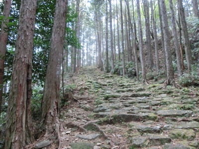 尾鷲研修ツアー最終日・熊野古道伊勢路_f0019247_1943255.jpg