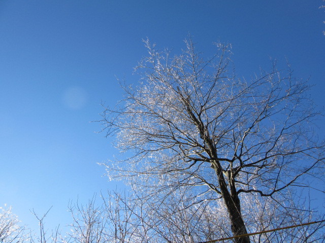 b0247153_23135187.jpg