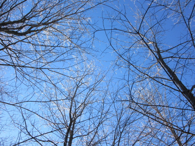 b0247153_23143058.jpg
