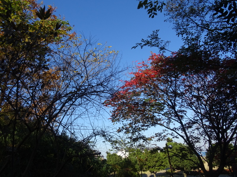 c0108460_17233697.jpg