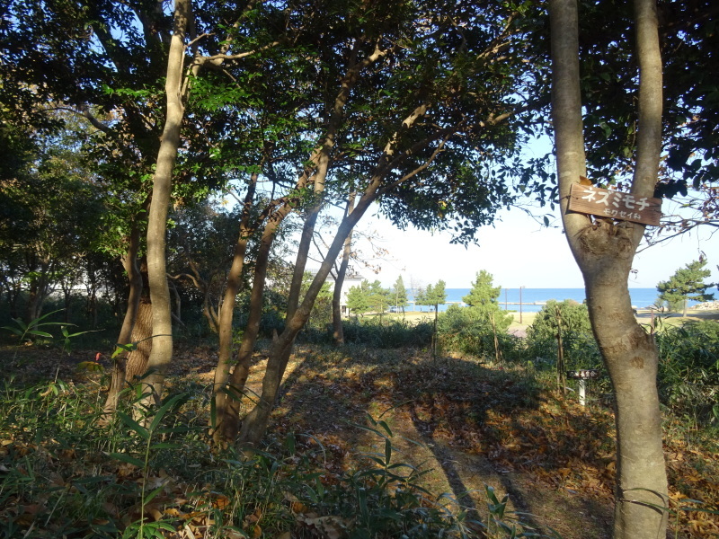 c0108460_17233818.jpg