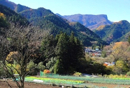 c0119160_22465533.jpg