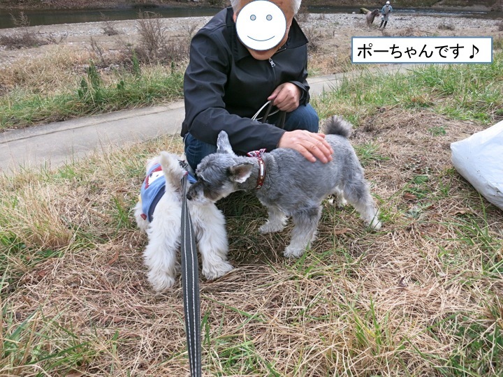 「おからダイエット」ありか?_c0260460_17533434.jpg