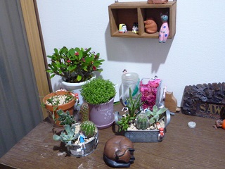 f0221360_17331211.jpg