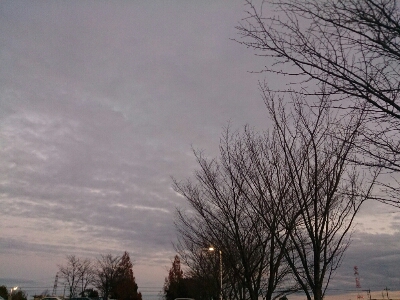 d0252366_10413939.jpg
