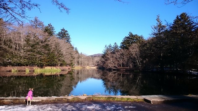 b0274270_11605.jpg