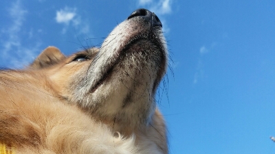 f0238772_1717961.jpg