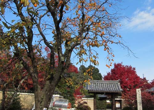 大田垣蓮月尼(おおたがきれんげつに)_a0045381_11414490.jpg