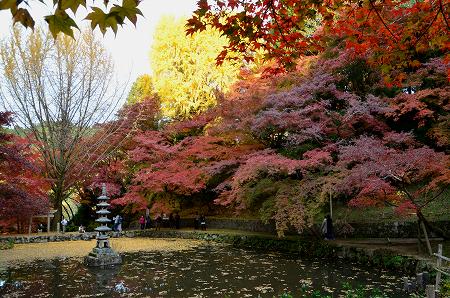 奥河内　延命寺の紅葉 ’14　③_c0229483_1311516.jpg