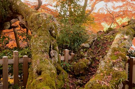 奥河内　延命寺の紅葉 ’14　③_c0229483_1354762.jpg