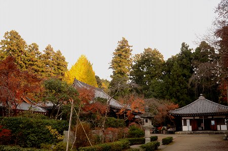 奥河内　延命寺の紅葉 ’14　③_c0229483_139188.jpg