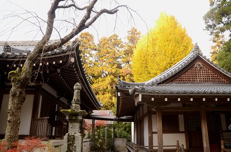 奥河内　延命寺　④_c0229483_19581.jpg