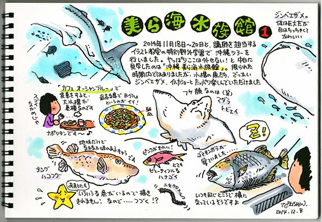 美ら海水族館その1 トキシンのイラストレーター的 沖縄 生活