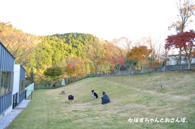 かぼすちゃんとお泊まり女子会_a0126590_00033891.jpg