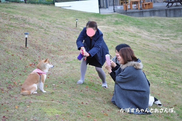 かぼすちゃんとお泊まり女子会_a0126590_00144170.jpg