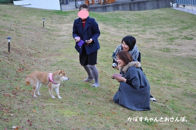 かぼすちゃんとお泊まり女子会_a0126590_00145514.jpg