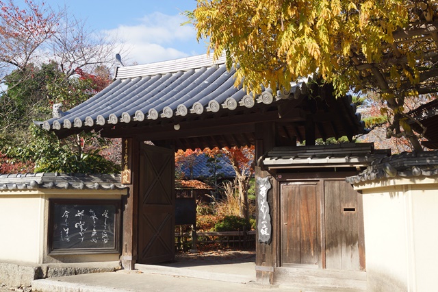 晩秋奈良の旅、奈良當麻寺の秋お寺と紅葉、日本一の紅葉を求めて藤田八束、當麻寺西南院の庭園の紅葉_d0181492_21261966.jpg