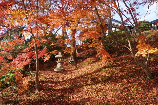 當麻寺奥院の秋 浄土庭園 浄土の世界を満喫_d0181492_2129302.jpg