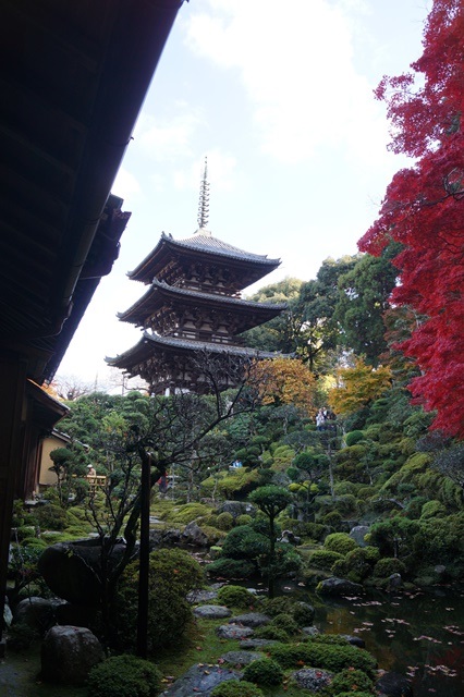 驚愕!!當麻寺西南院の素晴らしい紅葉と庭園、奈良の秋素晴らしい美しさに逢う旅_d0181492_2203032.jpg