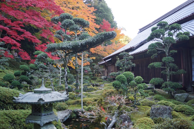 驚愕!!當麻寺西南院の素晴らしい紅葉と庭園、奈良の秋素晴らしい美しさに逢う旅_d0181492_2232214.jpg