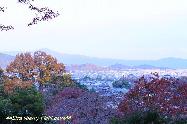 錦秋の京都　２０１４　嵯峨野　常寂光寺_c0087094_18211226.jpg