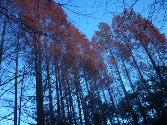 e0326699_22471241.jpg