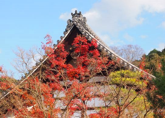 京都三日目　永観堂禅林寺(2014.12.03 part4)_e0245404_12115757.jpg