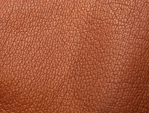 f0226010_1721598.jpg