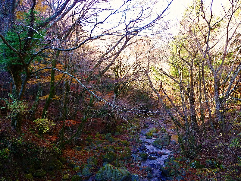 f0182513_22184739.jpg