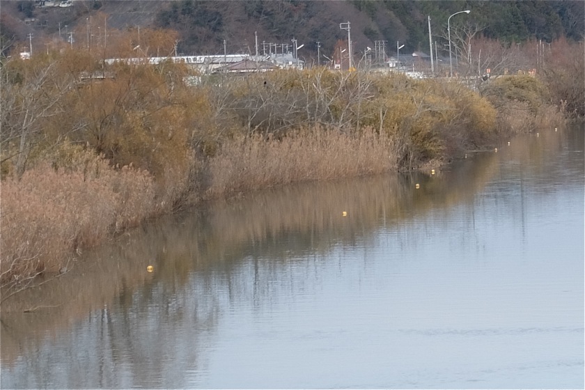 気になる。_a0118120_15412077.jpg