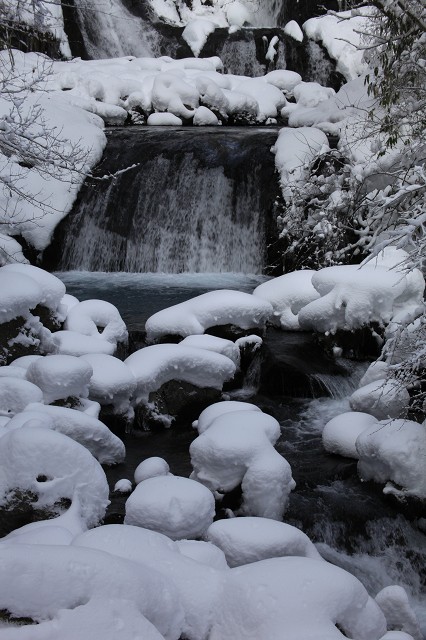 ♪　雪景色　♪_e0242721_757254.jpg