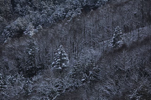 e0242721_7575628.jpg