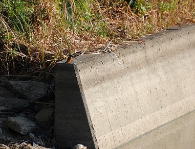 b0025323_16152267.jpg