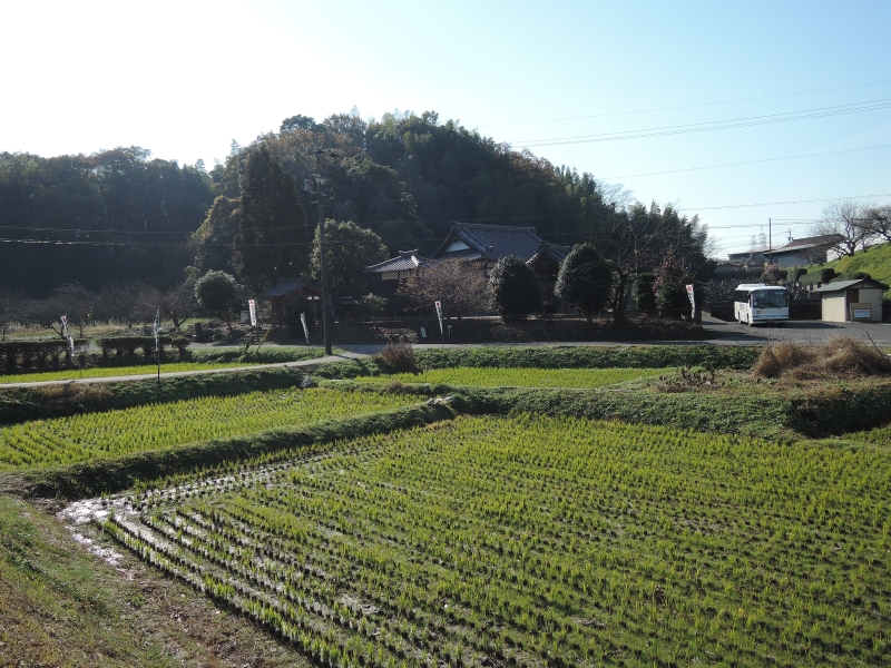 知多四国八十八ヶ所(5・66~88番と興正寺)巡拝第4回ツアー 結願_f0171028_1740029.jpg