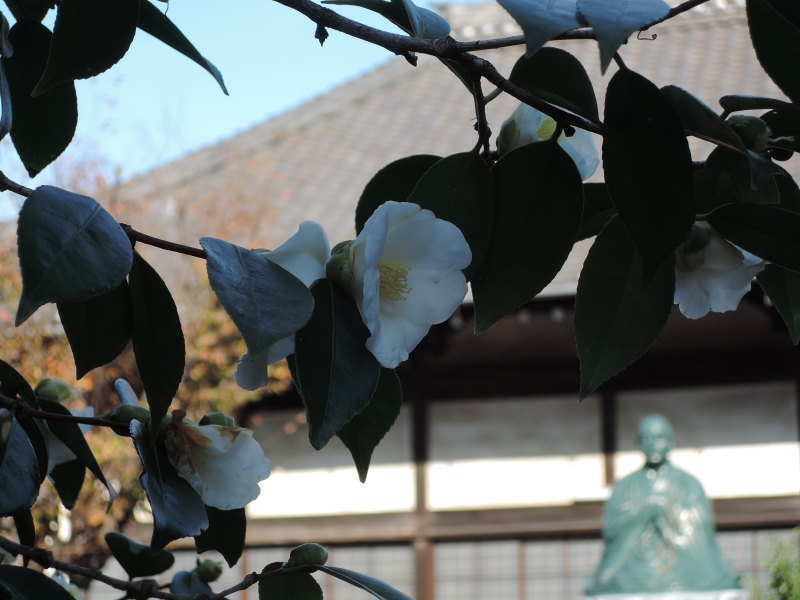 知多四国八十八ヶ所(5・66~88番と興正寺)巡拝第4回ツアー 結願_f0171028_18172252.jpg