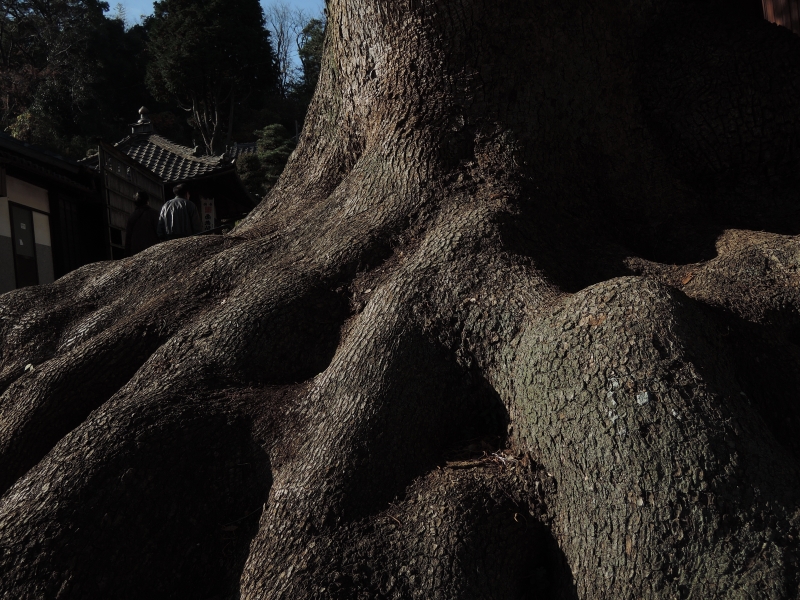 知多四国八十八ヶ所(5・66~88番と興正寺)巡拝第4回ツアー 結願_f0171028_1944294.jpg