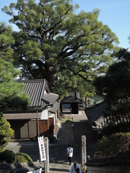知多四国八十八ヶ所(5・66~88番と興正寺)巡拝第4回ツアー 結願_f0171028_19463134.jpg