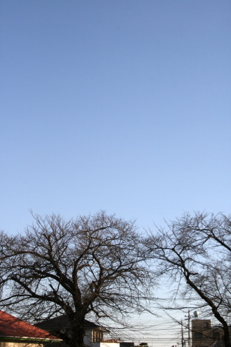 f0317533_08452803.jpg