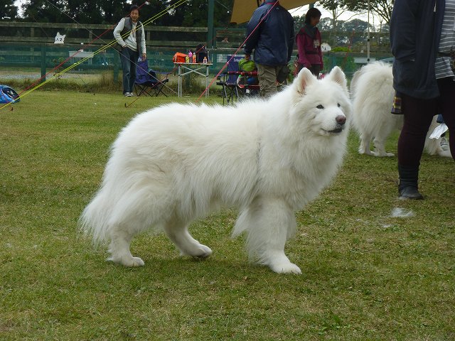 e0196135_9183717.jpg