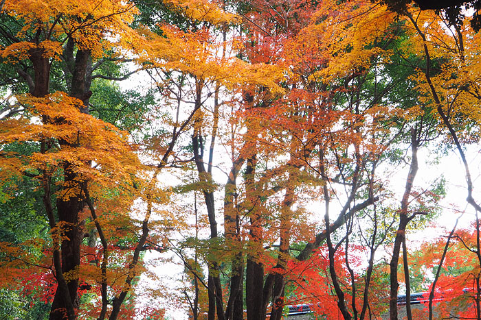 c0067040_22421318.jpg