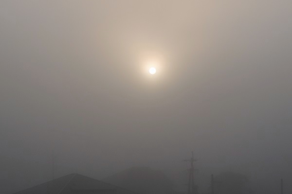 a0146442_8454366.jpg