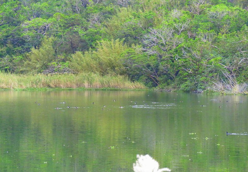 b0288942_946406.jpg