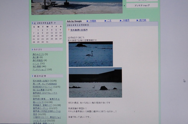 b0288942_9483986.jpg